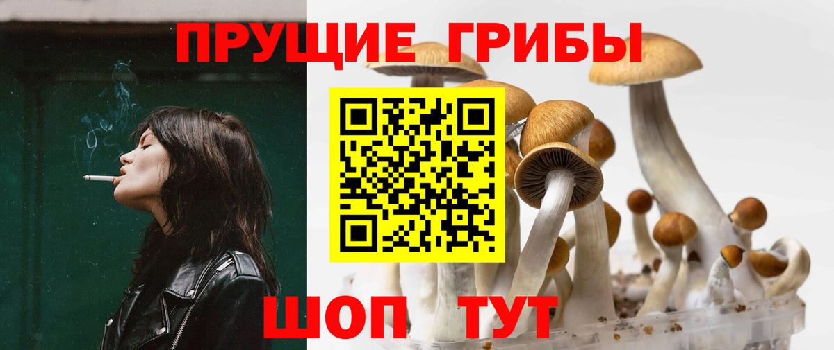 Зеленокумск  Псилоцибиновые грибы прущие грибы  Вход с VPN 