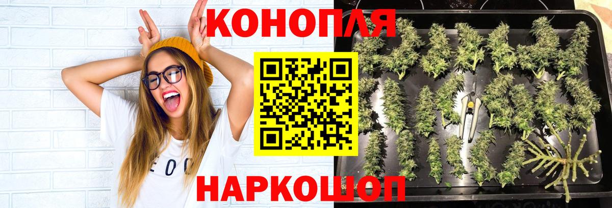 Конопля AK-47 Зеленокумск